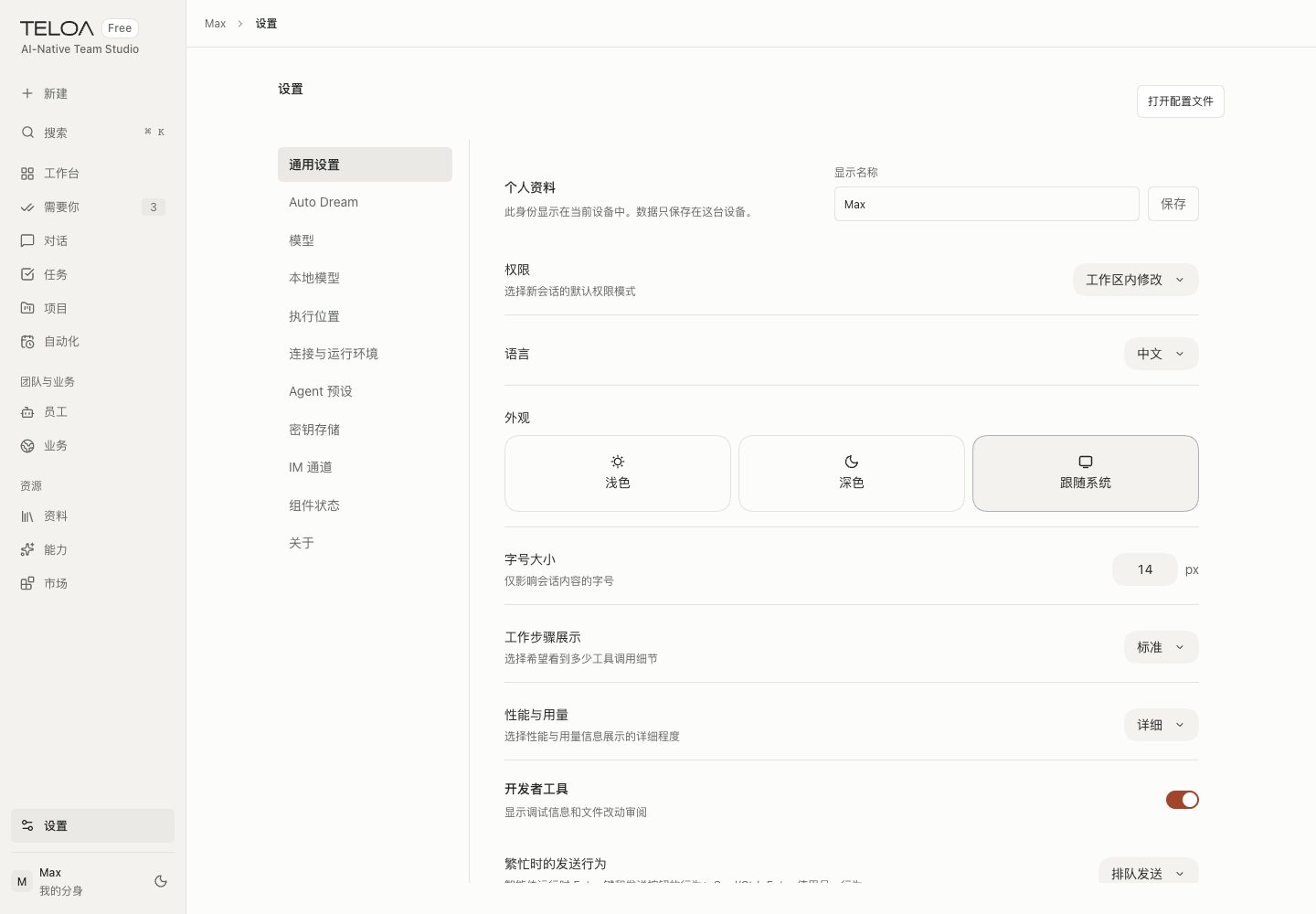 Teloa 设置页：管理个人偏好、模型与运行环境，也可调整上网和 Auto Dream 设置。